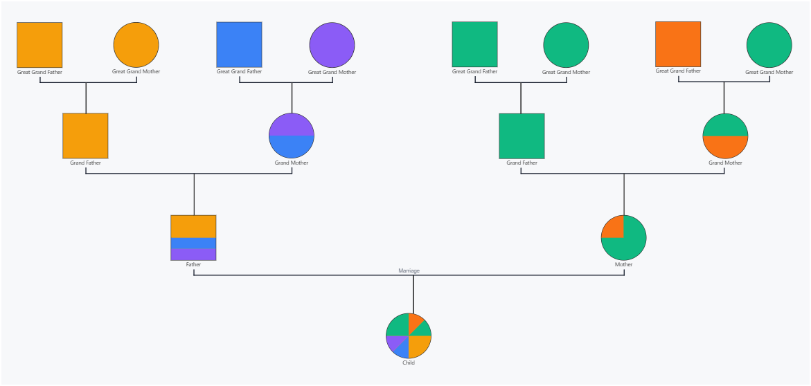 Multi-Generation Cultural Genogram Template