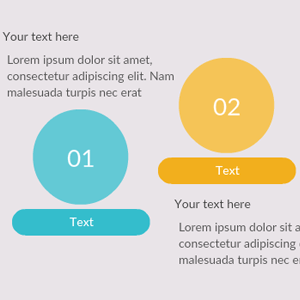 Mẫu vòng đời phát triển sản phẩm
