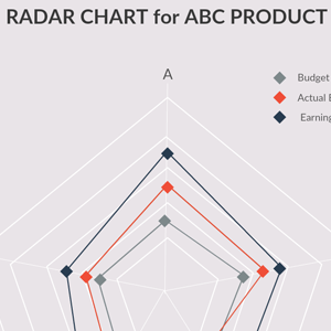 Beispiel für ein Radardiagramm